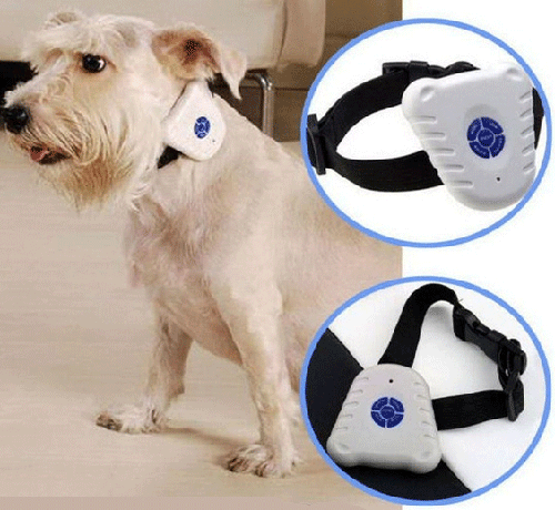 profesionalni ovratnik